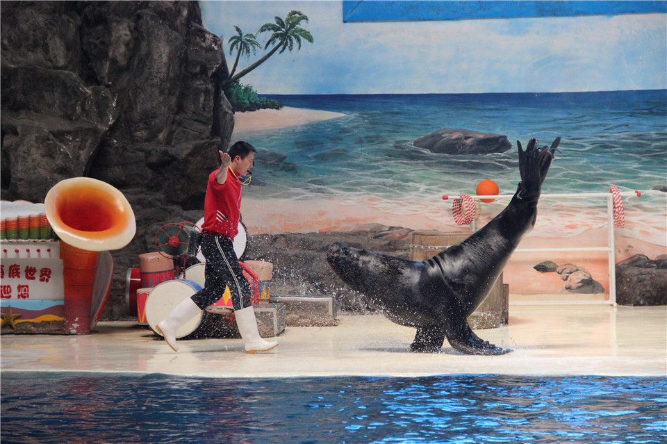 【长沙海底世界】长沙海底世界门票,长沙海底世界游玩