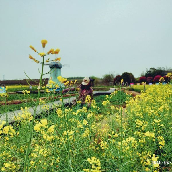 花朝河湾风景区