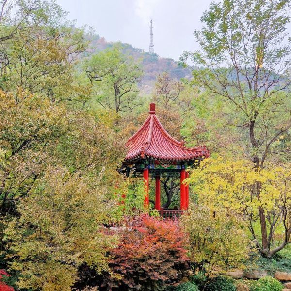 大连市植物园