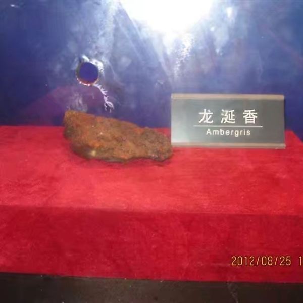m41****88:馆内有一头重达50余吨的巨型抹香鲸标本