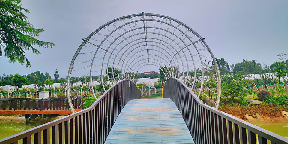         湛江市阳光玫瑰生态园