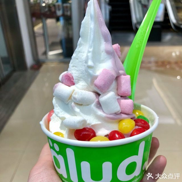 salud欧洲冻酸奶(新城市广场店)