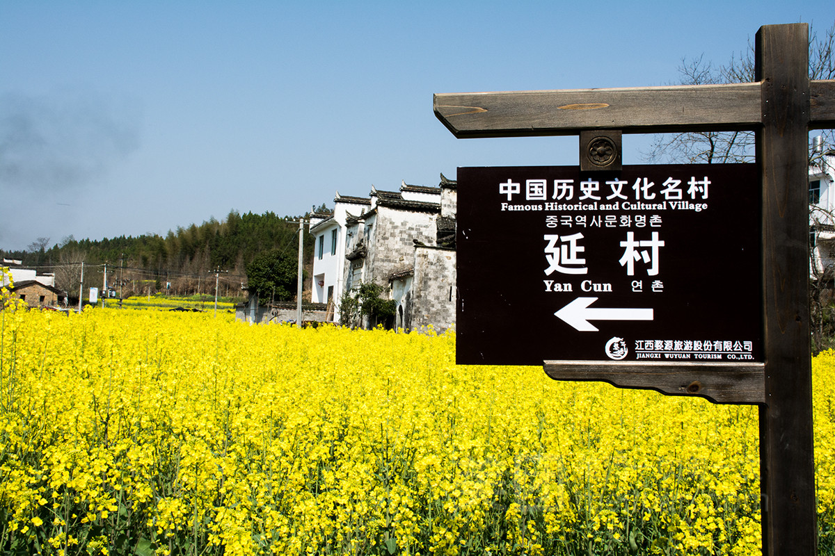 【美团】【思溪延村,彩虹桥,大鄣山卧龙谷景区等1日跟团游*寻古访迹一