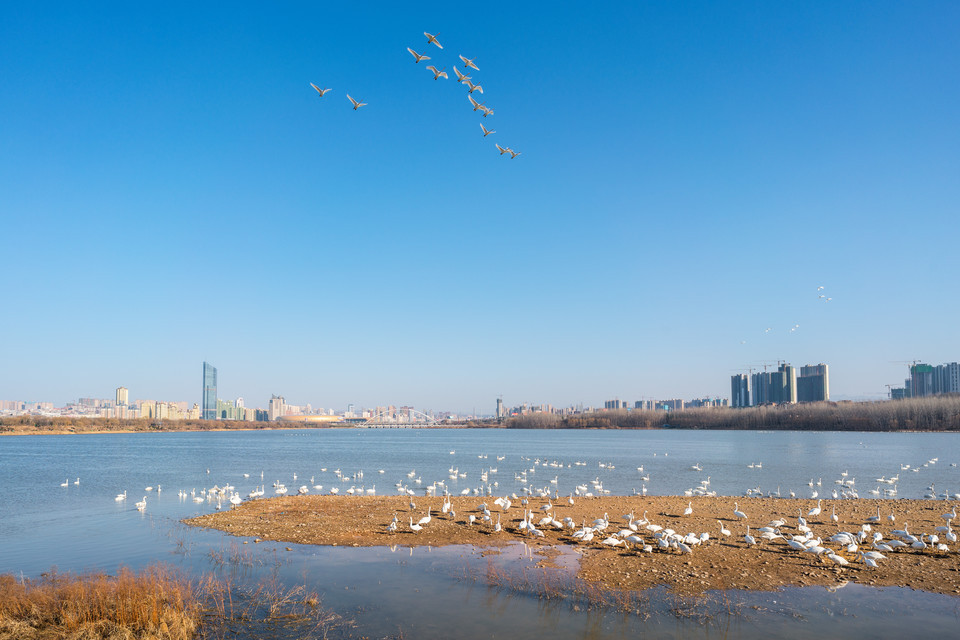 天鹅湖国家城市湿地公园