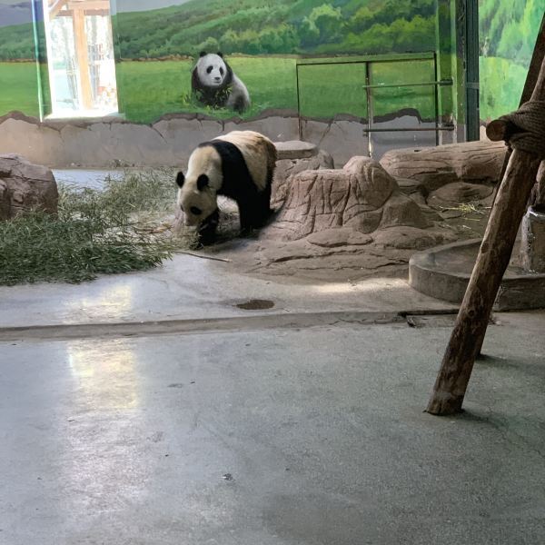 临沂动植物园