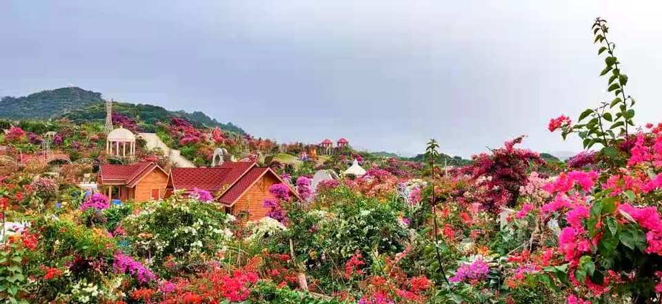 高州市粤龙山风景区