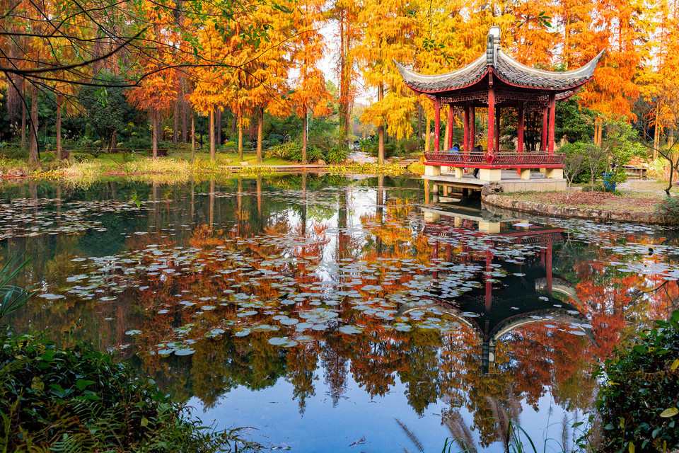 中国科学院武汉植物园(磨山园区)