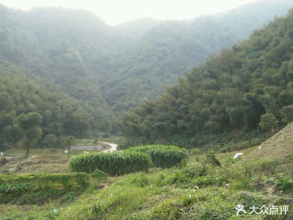 飞天山天然居生态休闲山庄