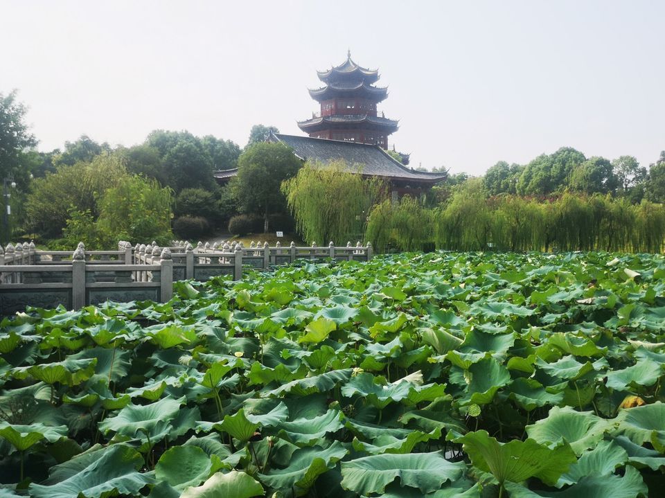 抚州市梦湖景区