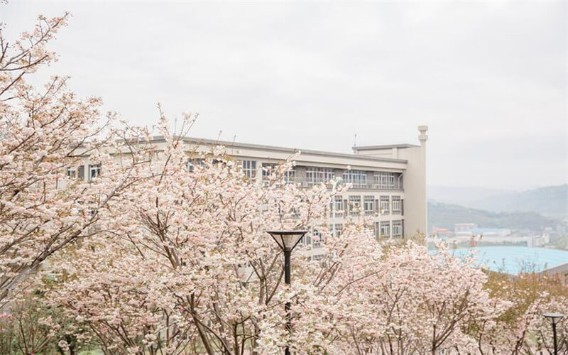 四川外国语大学重庆南方翻译学院(渝北校区)