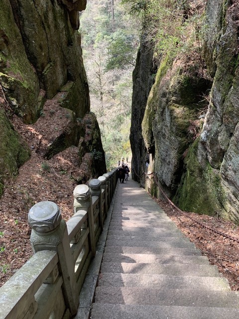 浙江天目山风景区