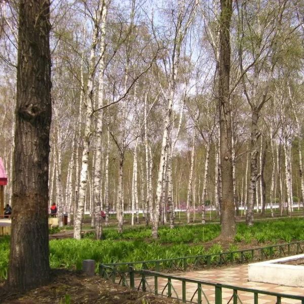 首页>哈尔滨市>休闲娱乐>景点公园>景点>黑龙江省森林植物园600_600