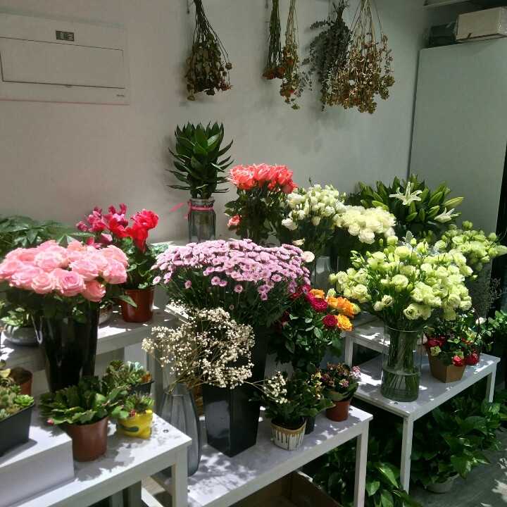 花店 艺居花坊 心语花坊邂逅花坊珍爱鲜花坊鲜花坊名花坊新原野