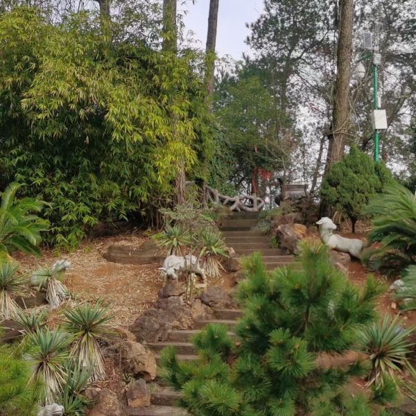 【雨母山风景区】雨母山风景区门票,雨母山风景区游玩攻略_360地图