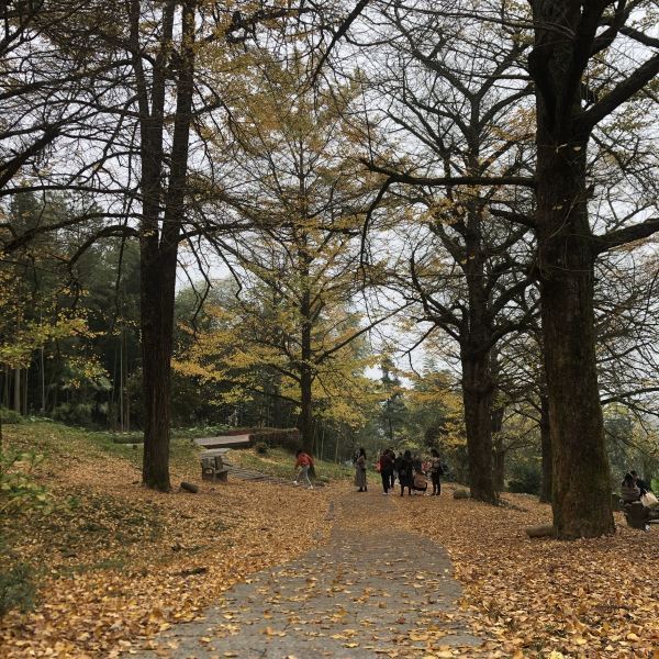 【桐子坳风景区】桐子坳风景区门票,桐子坳风景区游玩