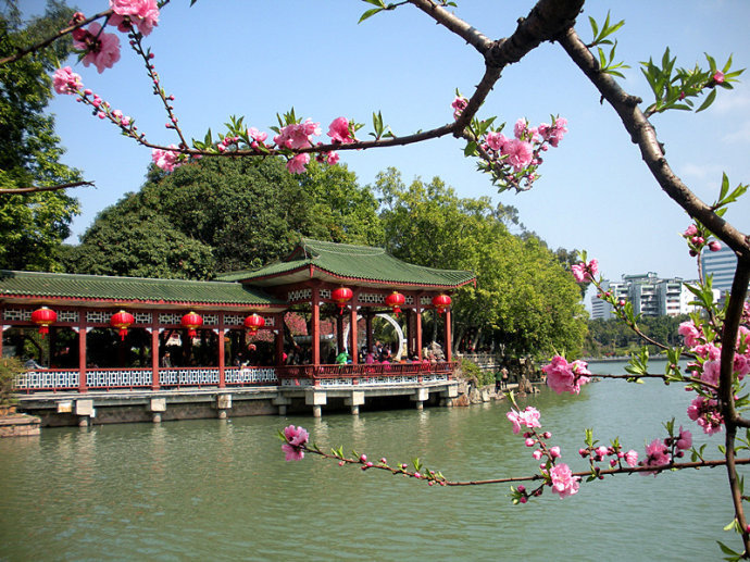 白莲湖湿地公园