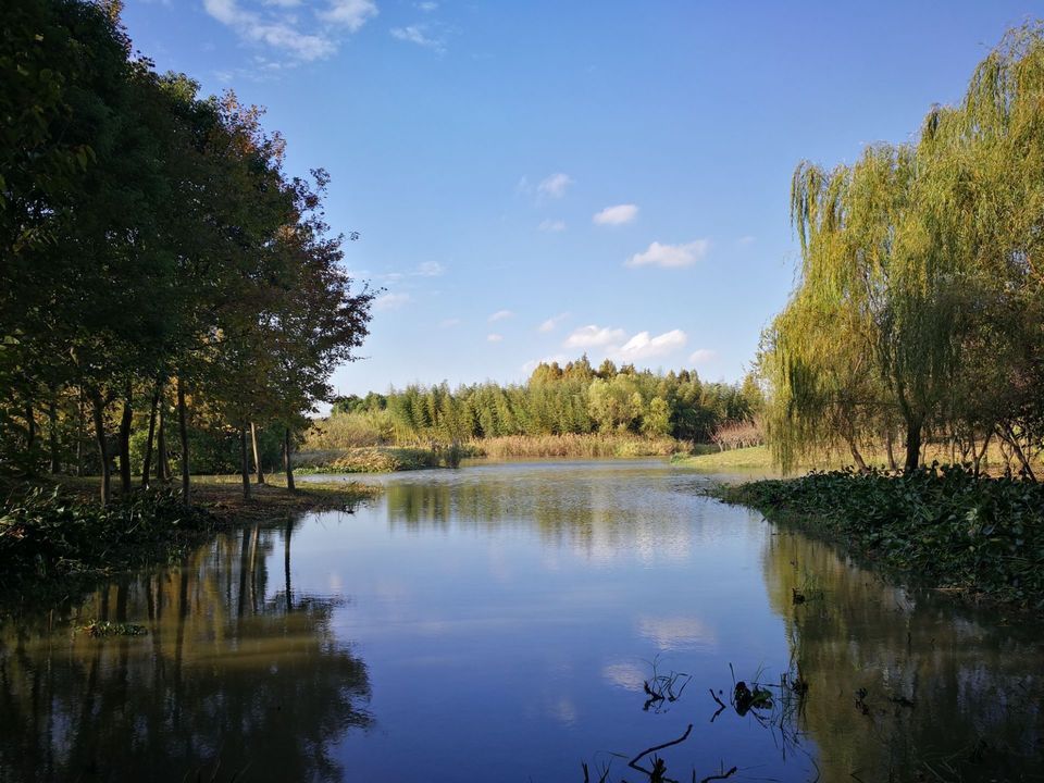 金海湿地公园