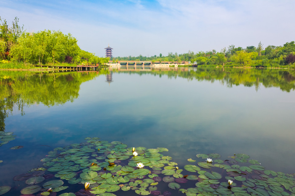 白浪绿洲湿地公园
