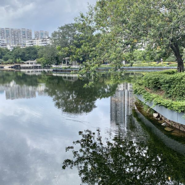 广州市 休闲娱乐 景点公园 景点 > 流花湖公园 评论(怎么样,怎样,好不