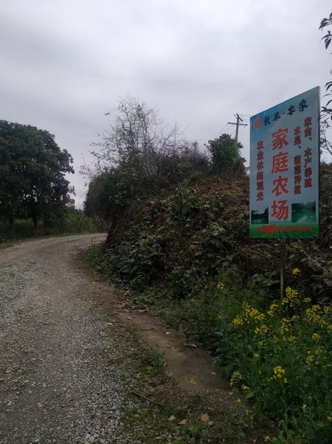 鲁家村家庭农场