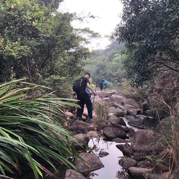 黄杨山森林公园