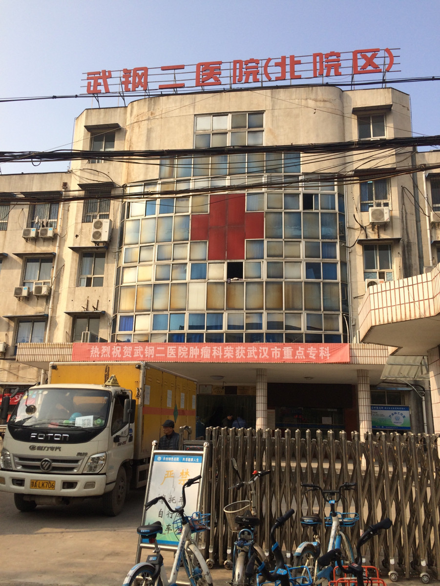 武汉钢铁(集团)公司第二职工医院(北院区)