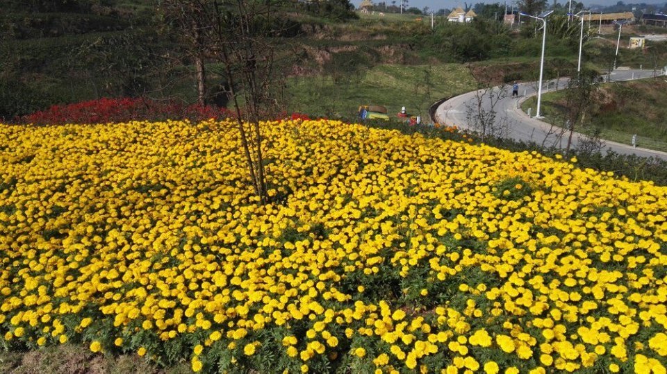 棠城公园位于重庆市永川区