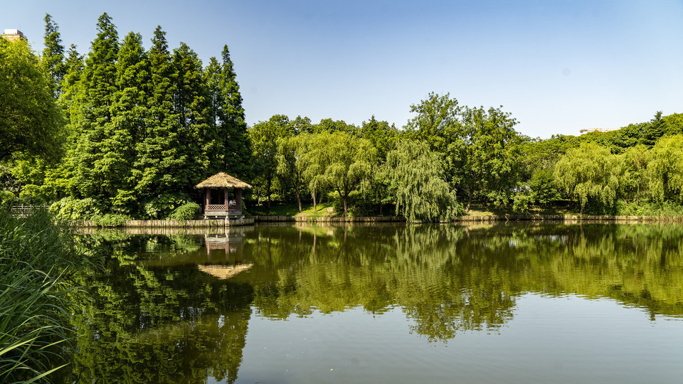 怎么去,怎么走,在哪,在哪里,在哪儿):上海市宝山区密山路80号友谊公园