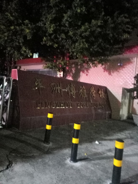 平洲博雅学校图片