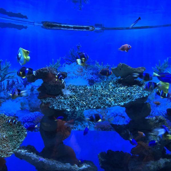 成都海昌极地海洋世界