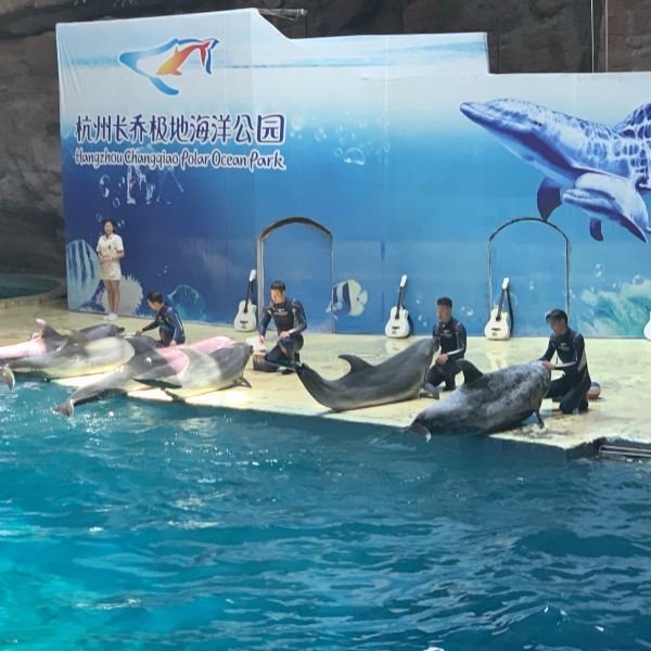 杭州极地海洋公园