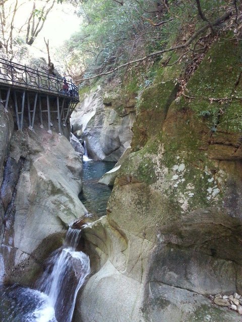 【醉山野度假区】醉山野度假区门票,醉山野度假区游玩