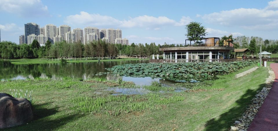 合肥市 休闲娱乐 景点公园 景点 滨湖塘西河公园评论(怎么样,怎样