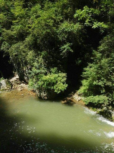 宝鸡市 生活服务 > 灵宝峡旅游区   灵宝峡旅游景区灵宝峡景区流峪飞