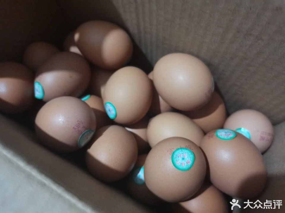 洪家鸡蛋大连商场专柜店