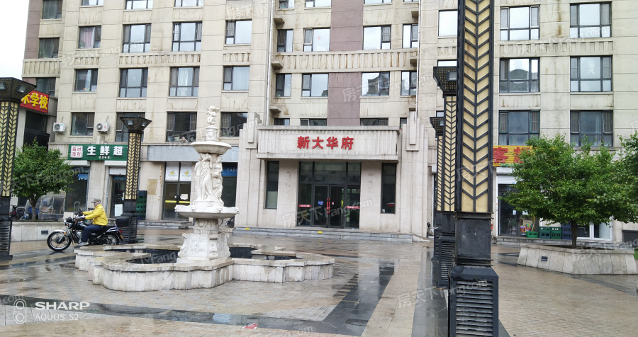新大华府