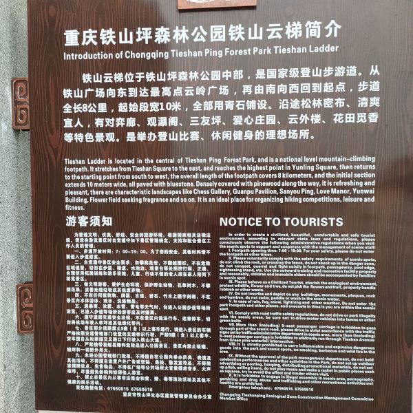 铁山坪森林公园