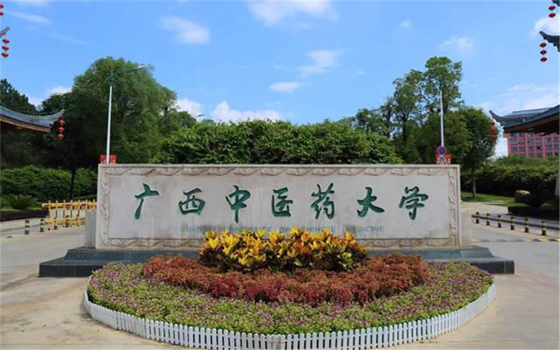 广西中医药大学(明秀校区)图片