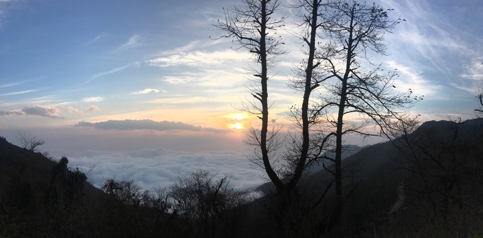 屏边大围山森林公园