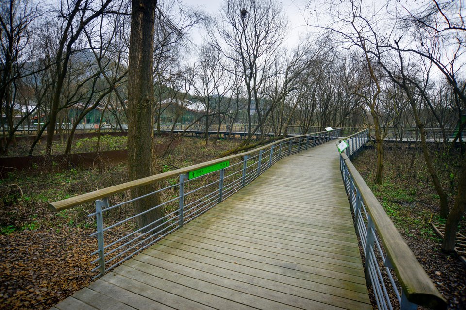 江洋畈生态公园位于杭州市西湖区凤凰山路延伸段虎玉路山腰上(八卦田