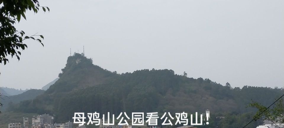 母鸡山公园