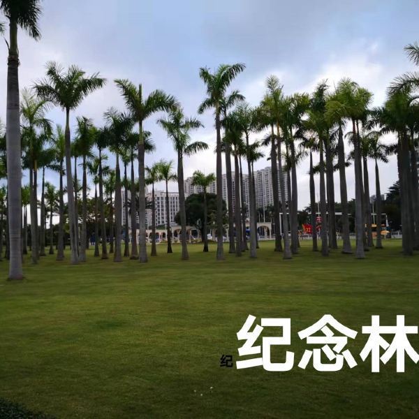 澳门回归纪念公园