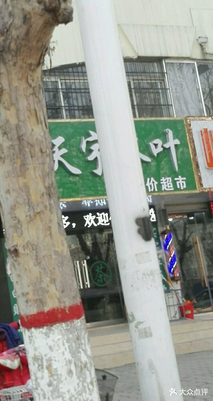                 天宇茶叶