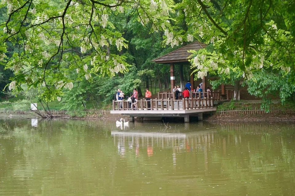 【南京聚宝山公园】南京聚宝山公园门票,南京聚宝山