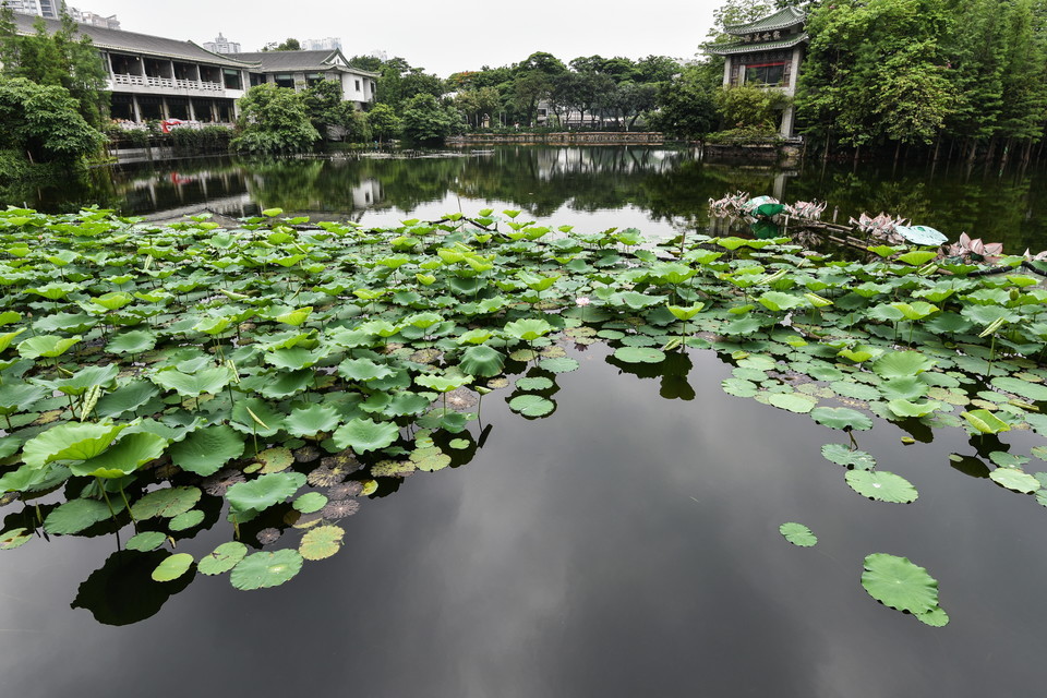 荔湾湖公园