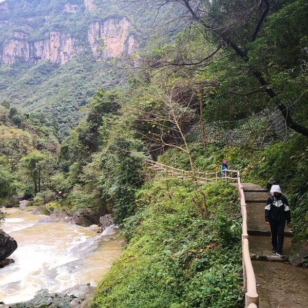 【米仓山大峡谷旅游景区】米仓山大峡谷旅游景区门票