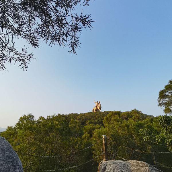大坪山