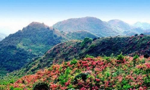 森林山岳/山岭 电话: 0731-83488298 地址: 长沙市浏阳市大围山镇