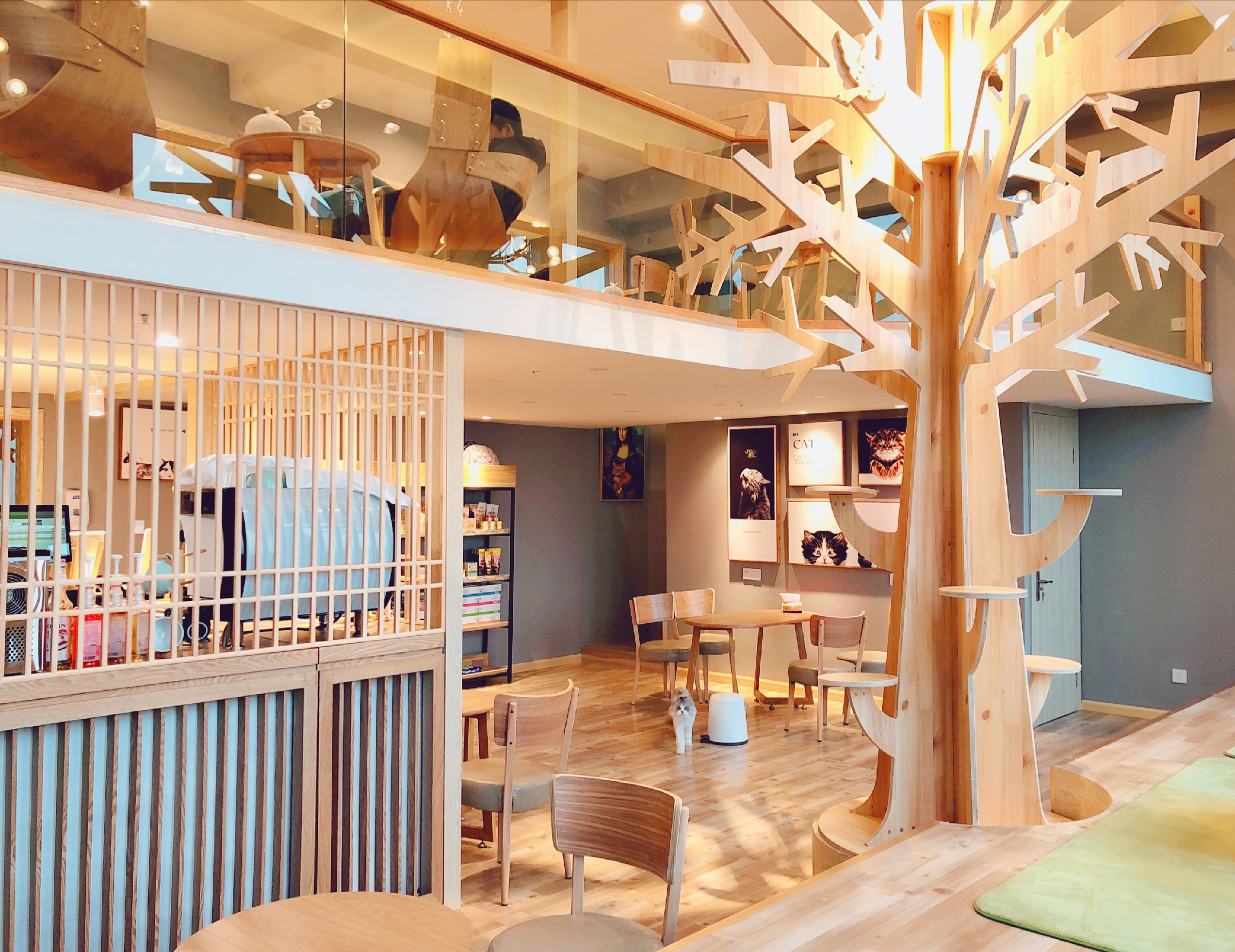 木木与猫咖啡店|空间|家装设计|怀艺装饰 - 原创作品 - 站酷 (ZCOOL)