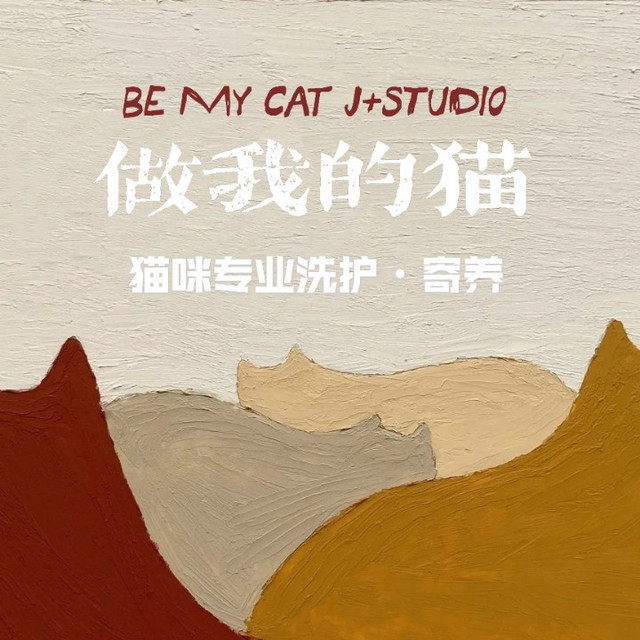 做我的猫宠物买猫洗澡寄养